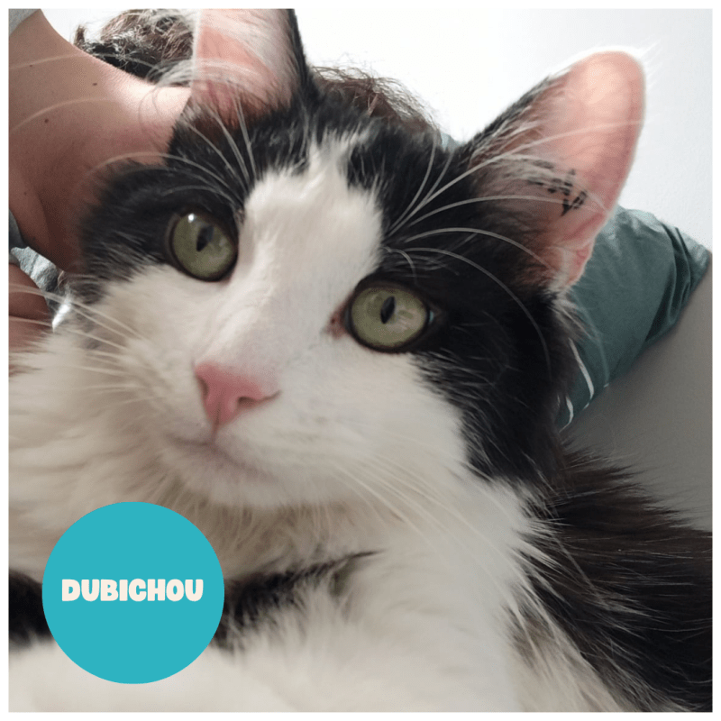 DUBICHOU a trouvé sa famille&nbsp;!