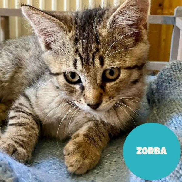 ZORBA a trouvé sa famille&nbsp;!