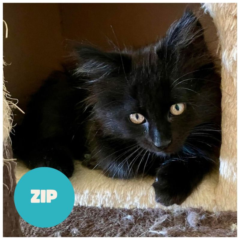 ZIP a trouvé sa famille&nbsp;!