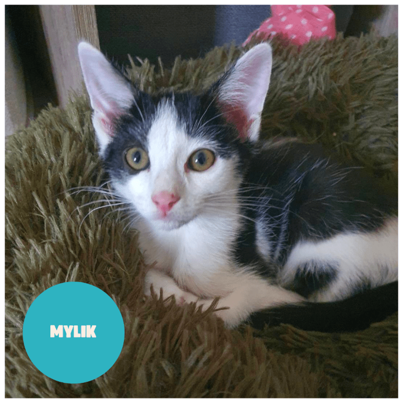 MYLIK a trouvé sa famille&nbsp;!