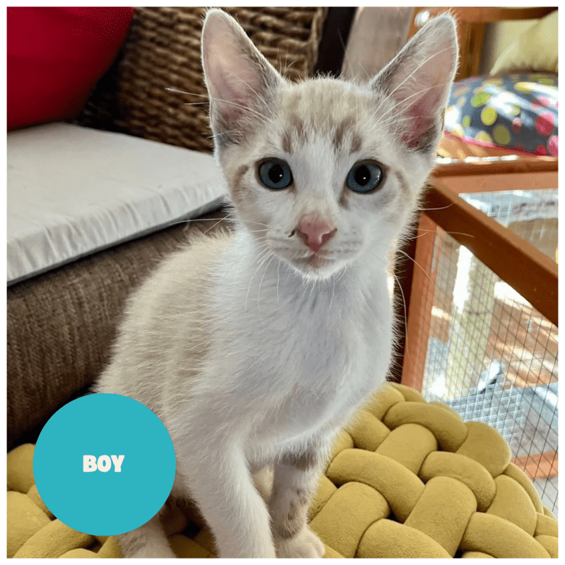 BOY a trouvé sa famille&nbsp;!