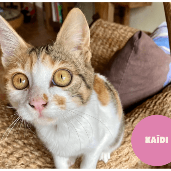 KAIDI a trouvé sa famille&nbsp;!