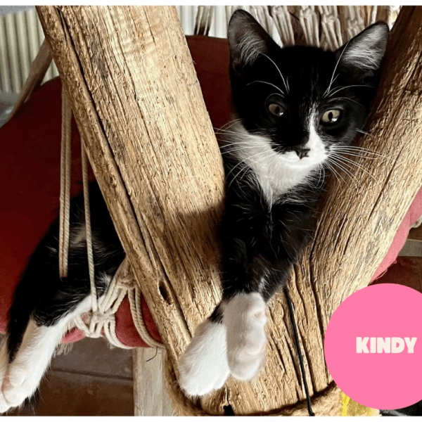 KINDY a trouvé sa famille&nbsp;!