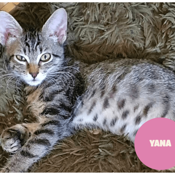 YANA a trouvé sa famille&nbsp;!