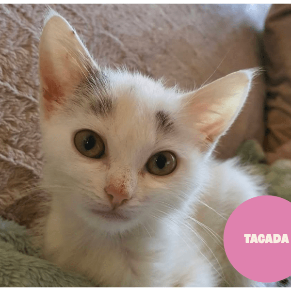 TAGADA a trouvé sa famille&nbsp;!