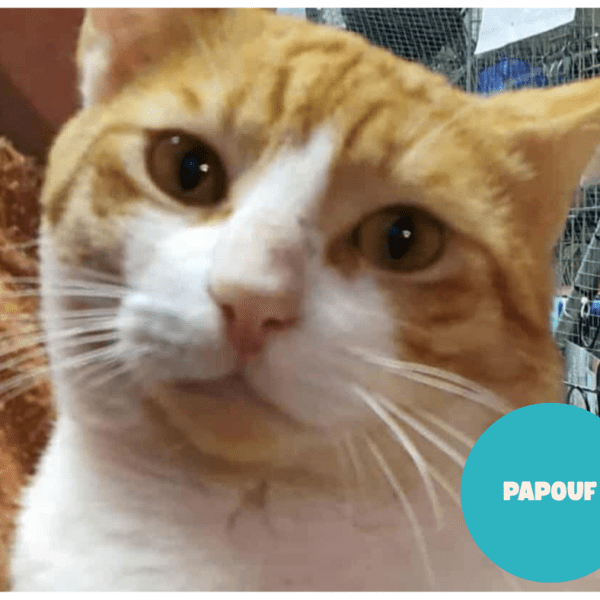 PAPOUF a trouvé sa famille&nbsp;!