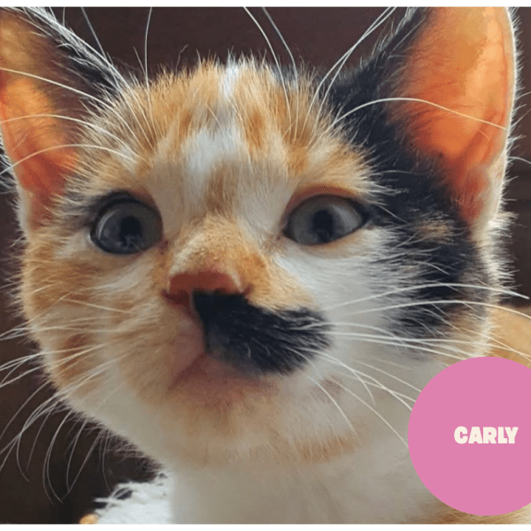 CARLY a trouvé sa famille&nbsp;!