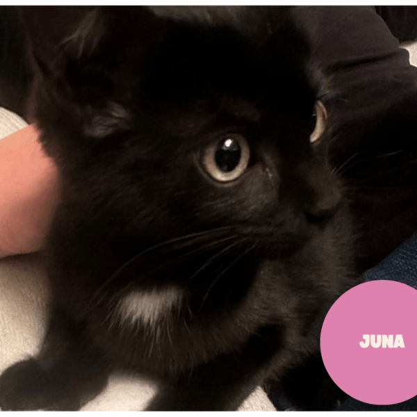 JUNA a trouvé sa famille&nbsp;!