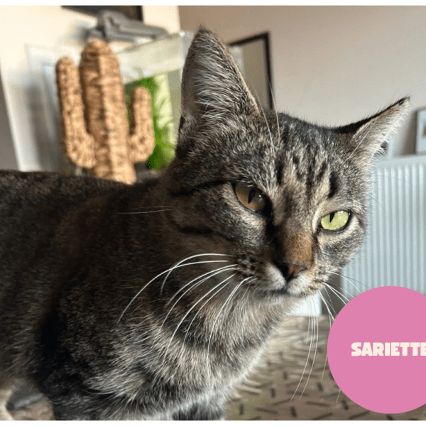 SARIETTE a trouvé sa famille&nbsp;!